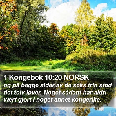 1 Kongebok 10:20 NORSK Bible Verse Image