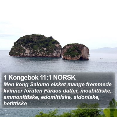 1 Kongebok 11:1 NORSK Bible Verse Image