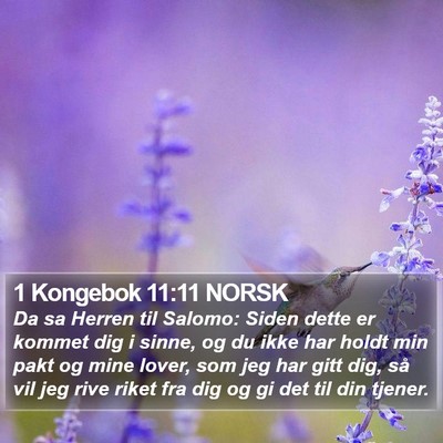 1 Kongebok 11:11 NORSK Bible Verse Image