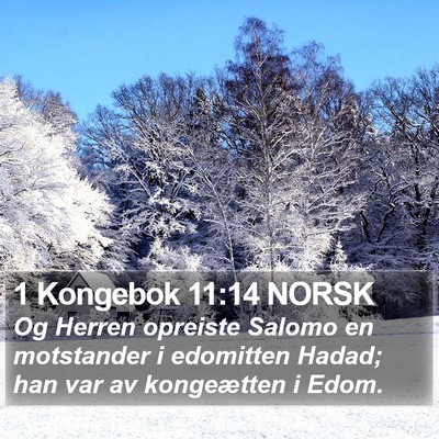 1 Kongebok 11:14 NORSK Bible Verse Image
