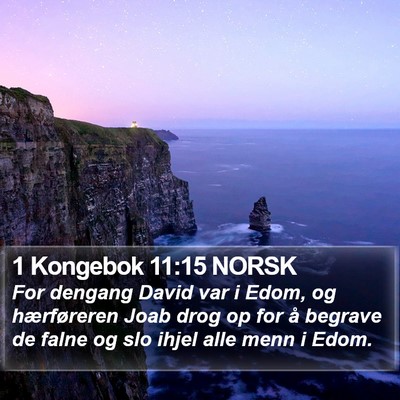 1 Kongebok 11:15 NORSK Bible Verse Image