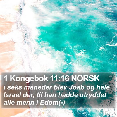 1 Kongebok 11:16 NORSK Bible Verse Image