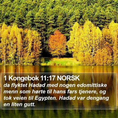 1 Kongebok 11:17 NORSK Bible Verse Image