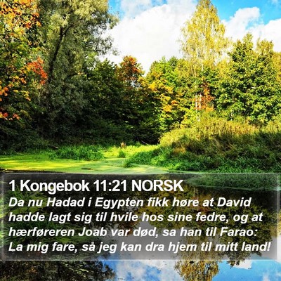 1 Kongebok 11:21 NORSK Bible Verse Image