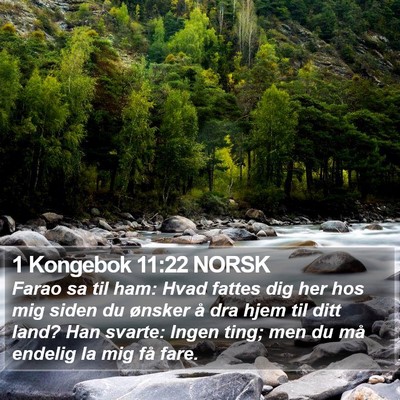 1 Kongebok 11:22 NORSK Bible Verse Image