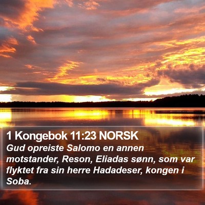 1 Kongebok 11:23 NORSK Bible Verse Image