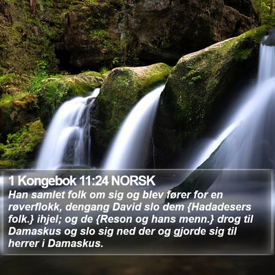1 Kongebok 11:24 NORSK Bible Verse Image