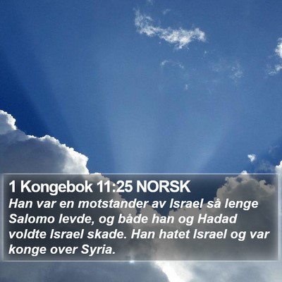 1 Kongebok 11:25 NORSK Bible Verse Image