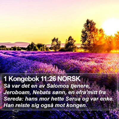 1 Kongebok 11:26 NORSK Bible Verse Image