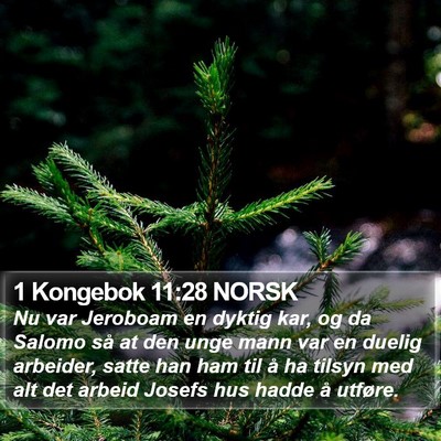 1 Kongebok 11:28 NORSK Bible Verse Image