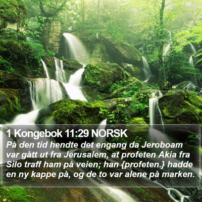 1 Kongebok 11:29 NORSK Bible Verse Image