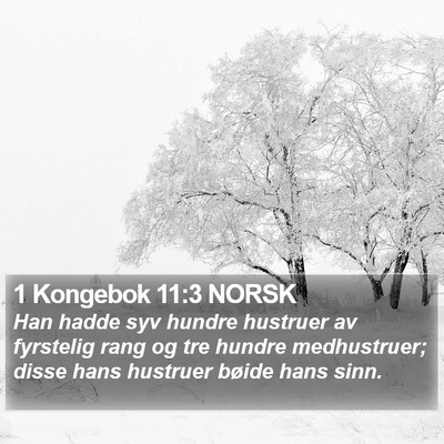 1 Kongebok 11:3 NORSK Bible Verse Image