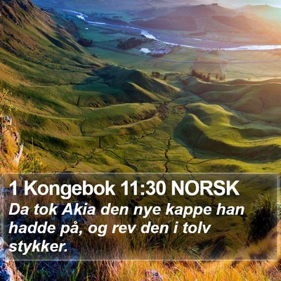 1 Kongebok 11:30 NORSK Bible Verse Image