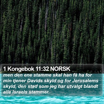 1 Kongebok 11:32 NORSK Bible Verse Image