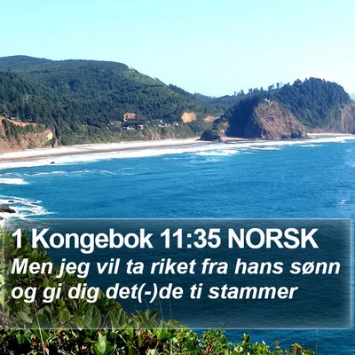 1 Kongebok 11:35 NORSK Bible Verse Image