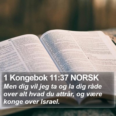 1 Kongebok 11:37 NORSK Bible Verse Image