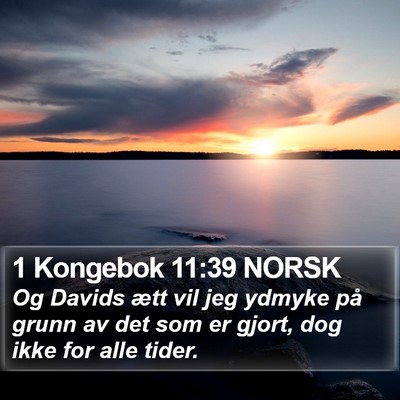 1 Kongebok 11:39 NORSK Bible Verse Image