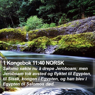 1 Kongebok 11:40 NORSK Bible Verse Image