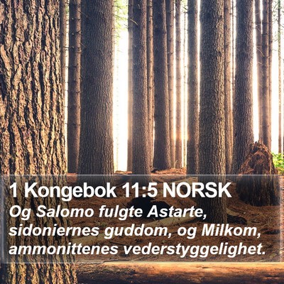1 Kongebok 11:5 NORSK Bible Verse Image