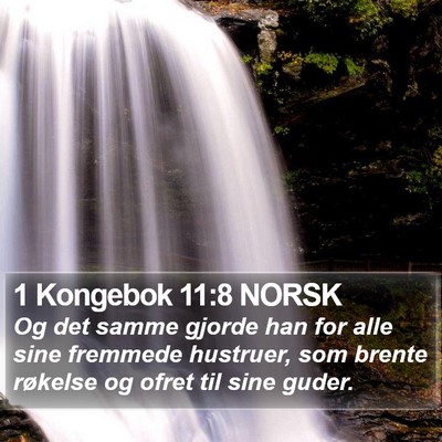 1 Kongebok 11:8 NORSK Bible Verse Image