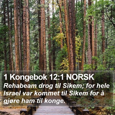 1 Kongebok 12:1 NORSK Bible Verse Image