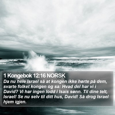 1 Kongebok 12:16 NORSK Bible Verse Image