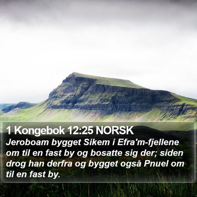 1 Kongebok 12:25 NORSK Bible Verse Image