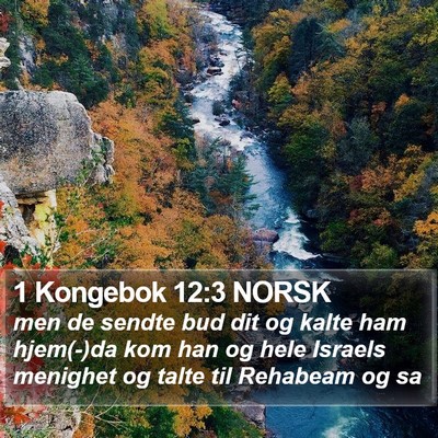 1 Kongebok 12:3 NORSK Bible Verse Image