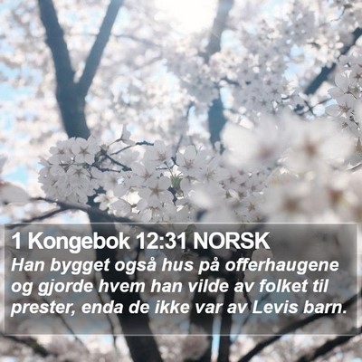 1 Kongebok 12:31 NORSK Bible Verse Image