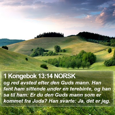 1 Kongebok 13:14 NORSK Bible Verse Image
