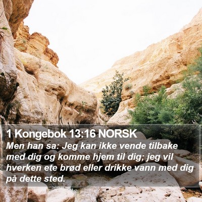 1 Kongebok 13:16 NORSK Bible Verse Image