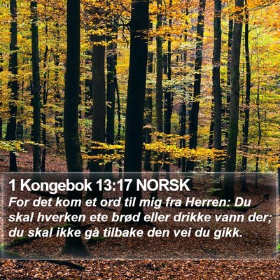 1 Kongebok 13:17 NORSK Bible Verse Image