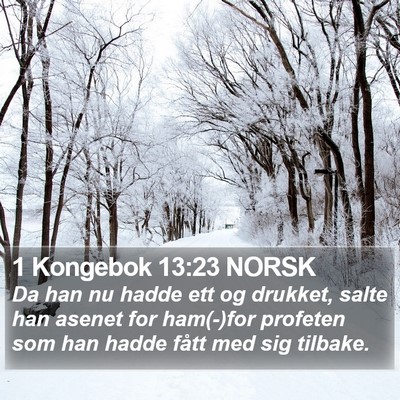 1 Kongebok 13:23 NORSK Bible Verse Image