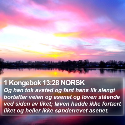 1 Kongebok 13:28 NORSK Bible Verse Image