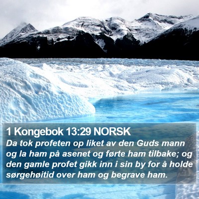 1 Kongebok 13:29 NORSK Bible Verse Image