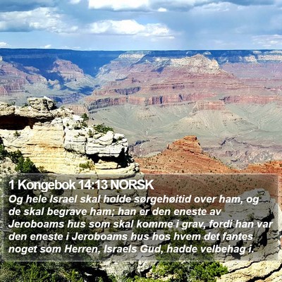 1 Kongebok 14:13 NORSK Bible Verse Image