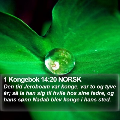 1 Kongebok 14:20 NORSK Bible Verse Image