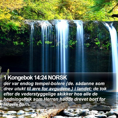 1 Kongebok 14:24 NORSK Bible Verse Image