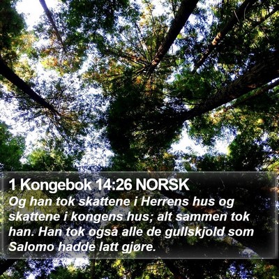 1 Kongebok 14:26 NORSK Bible Verse Image