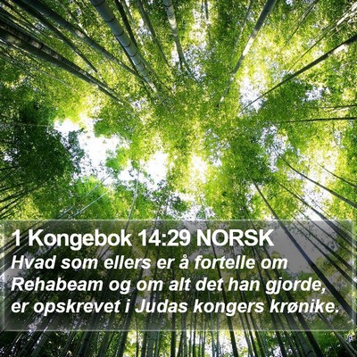 1 Kongebok 14:29 NORSK Bible Verse Image