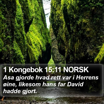 1 Kongebok 15:11 NORSK Bible Verse Image
