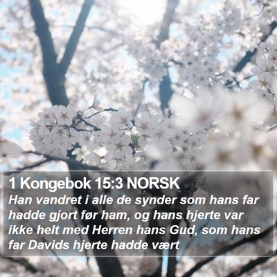 1 Kongebok 15:3 NORSK Bible Verse Image