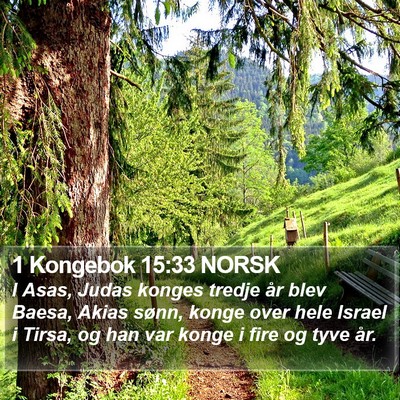 1 Kongebok 15:33 NORSK Bible Verse Image
