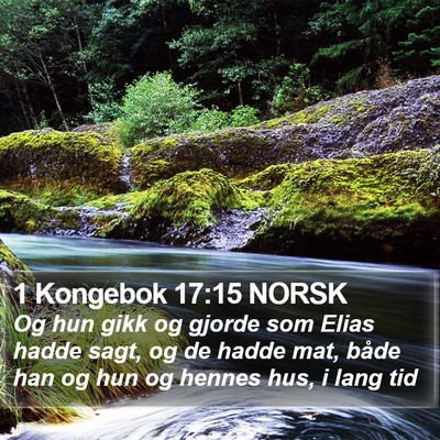 1 Kongebok 17:15 NORSK Bible Verse Image