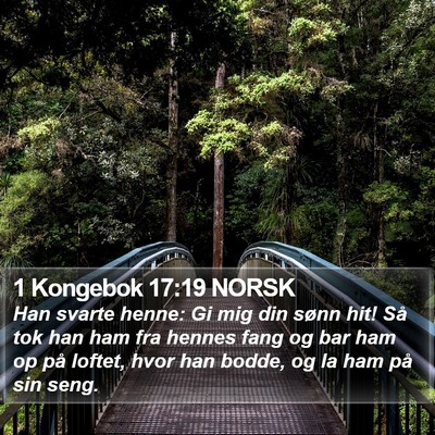 1 Kongebok 17:19 NORSK Bible Verse Image