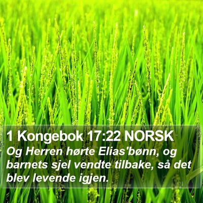 1 Kongebok 17:22 NORSK Bible Verse Image