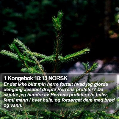 1 Kongebok 18:13 NORSK Bible Verse Image