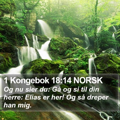 1 Kongebok 18:14 NORSK Bible Verse Image