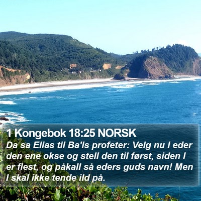 1 Kongebok 18:25 NORSK Bible Verse Image