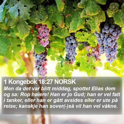 1 Kongebok 18:27 NORSK Bible Verse Image